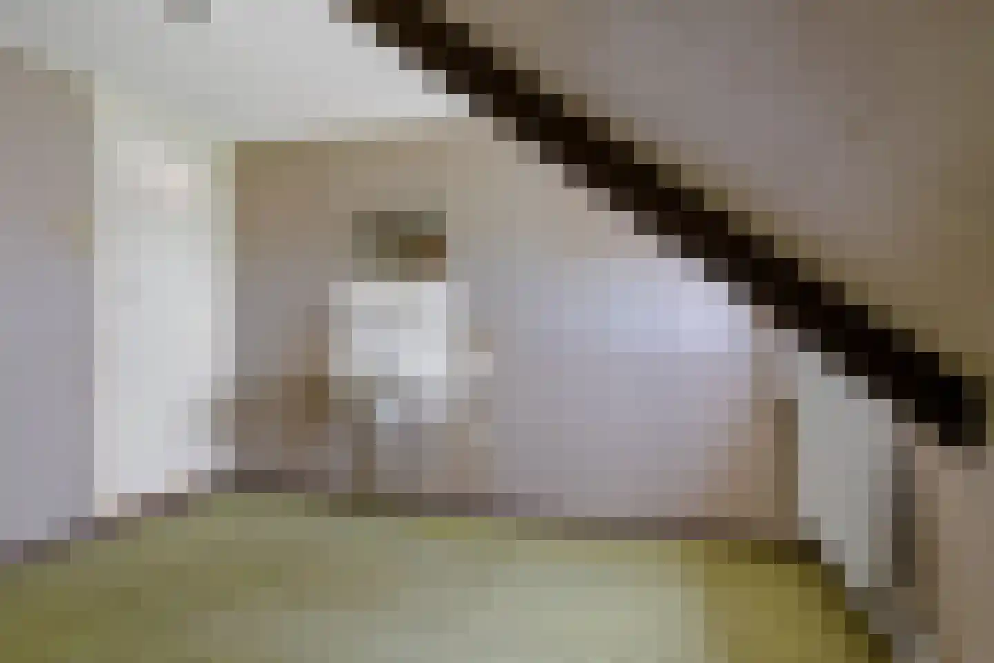 Waaxenserweg 24 Lollum thumbnail 36