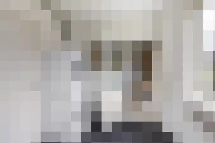 Wabbe Wissesstrjitte 2 Gorredijk thumbnail 16