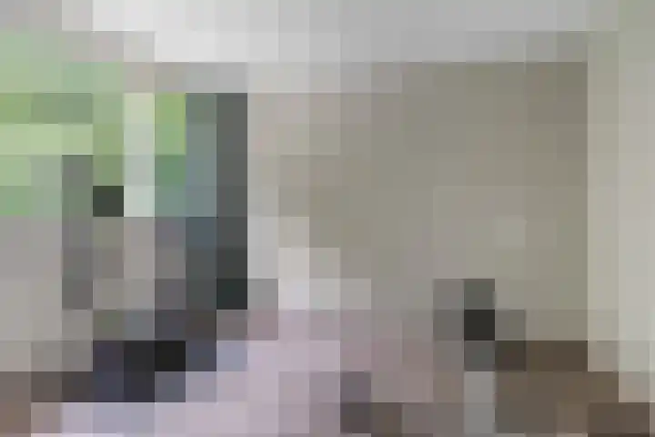 Wabbe Wissesstrjitte 2 Gorredijk thumbnail 23
