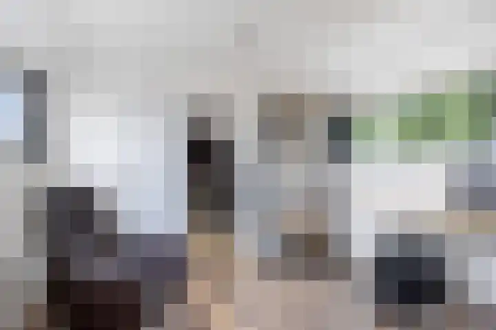 Wabbe Wissesstrjitte 2 Gorredijk thumbnail 24