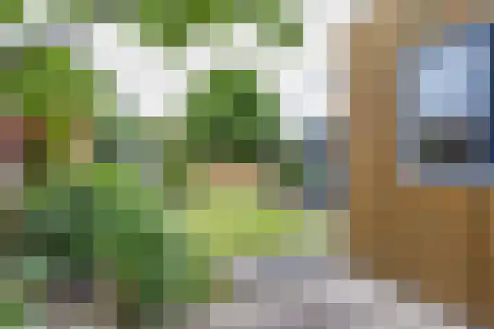 Wabbe Wissesstrjitte 2 Gorredijk thumbnail 27