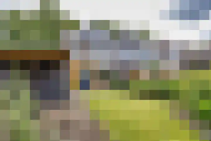 Wabbe Wissesstrjitte 2 Gorredijk thumbnail 28