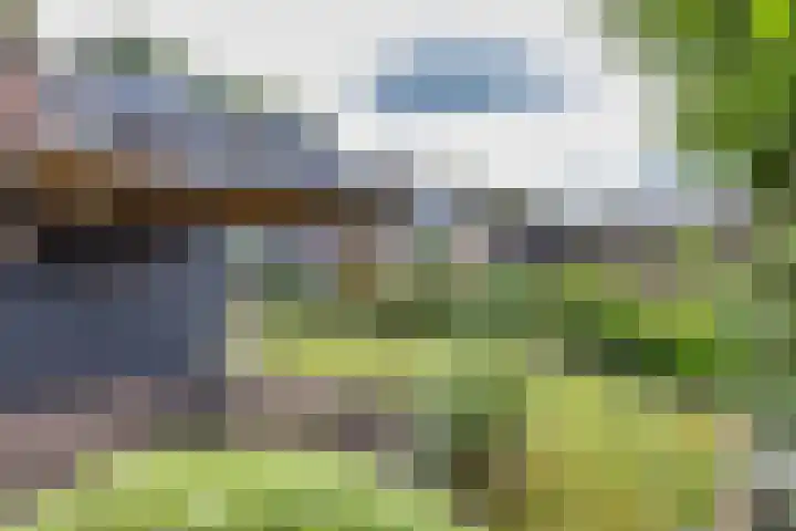Wabbe Wissesstrjitte 2 Gorredijk thumbnail 29