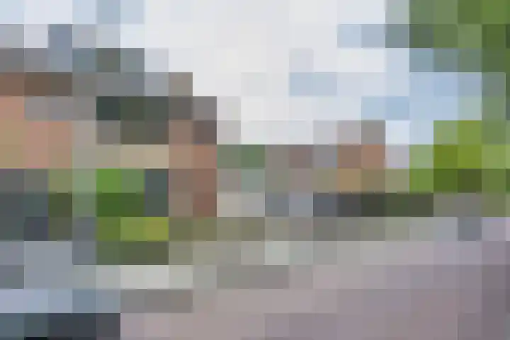 Wabbe Wissesstrjitte 2 Gorredijk thumbnail 30