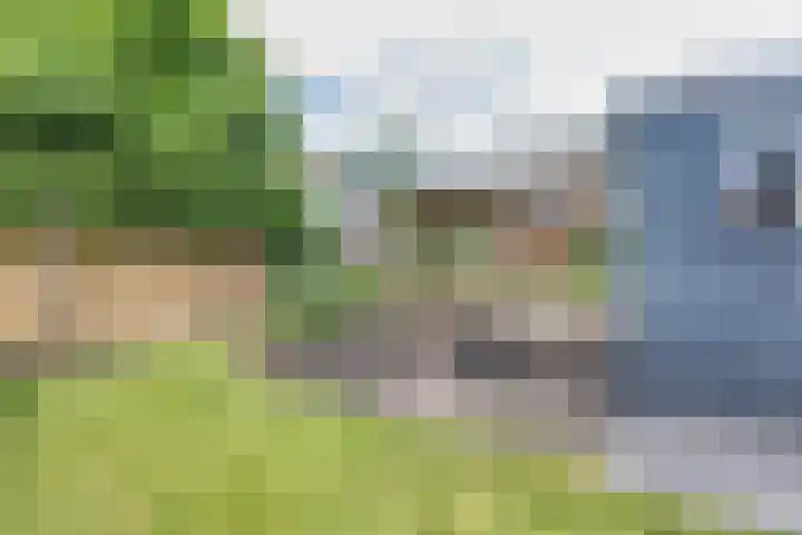 Wabbe Wissesstrjitte 2 Gorredijk thumbnail 31