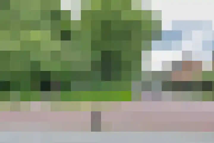 Wabbe Wissesstrjitte 2 Gorredijk thumbnail 32