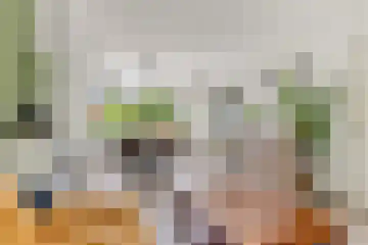 Wabbe Wissesstrjitte 2 Gorredijk thumbnail 7