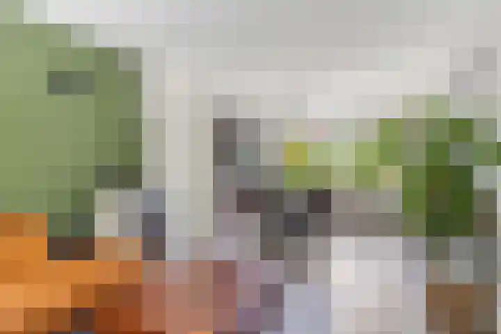 Wabbe Wissesstrjitte 2 Gorredijk thumbnail 8