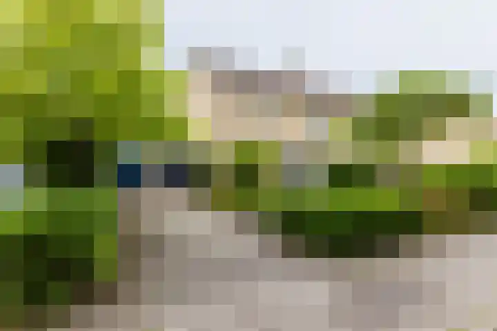 Wabbe Wissesstrjitte 46 Gorredijk thumbnail 10