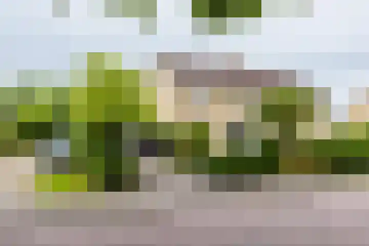 Wabbe Wissesstrjitte 46 Gorredijk thumbnail 11