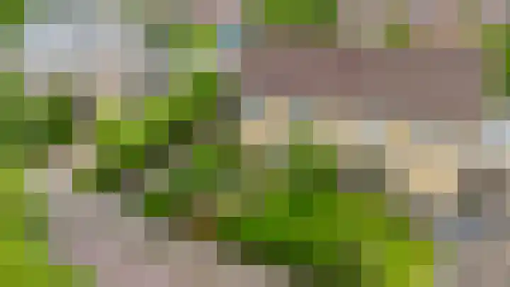Wabbe Wissesstrjitte 46 Gorredijk thumbnail 12