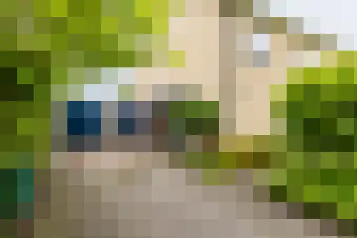 Wabbe Wissesstrjitte 46 Gorredijk thumbnail 13