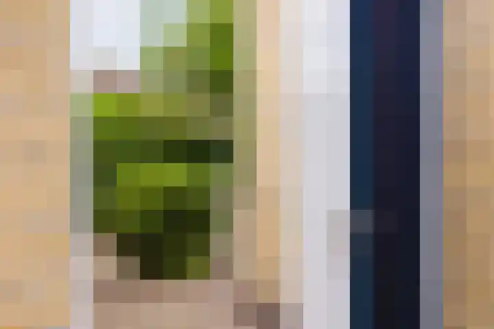 Wabbe Wissesstrjitte 46 Gorredijk thumbnail 14