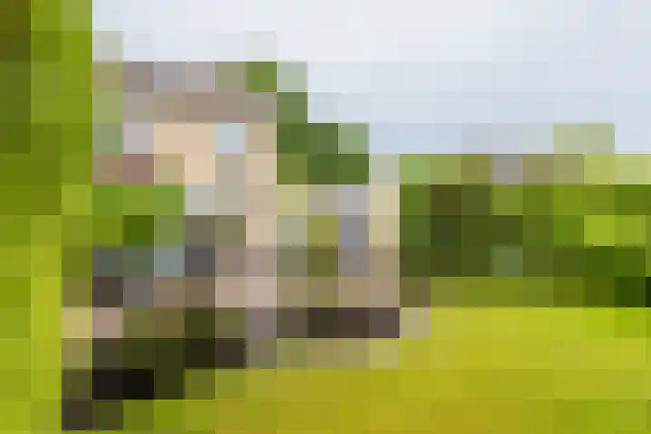 Wabbe Wissesstrjitte 46 Gorredijk thumbnail 15