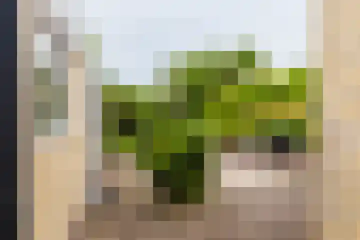 Wabbe Wissesstrjitte 46 Gorredijk thumbnail 16