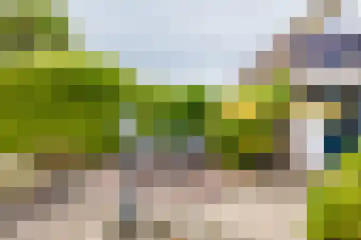 Wabbe Wissesstrjitte 46 Gorredijk thumbnail 17