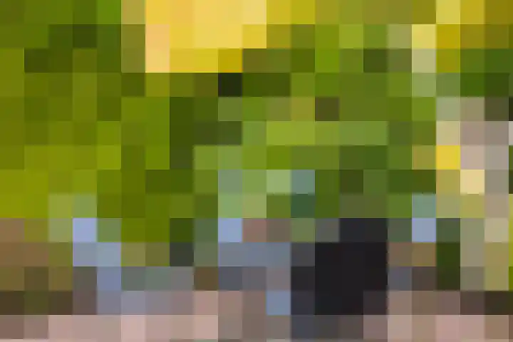 Wabbe Wissesstrjitte 46 Gorredijk thumbnail 19