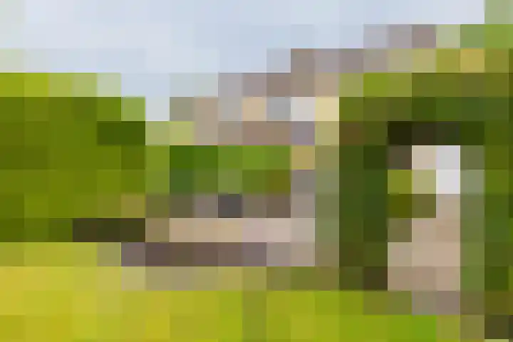 Wabbe Wissesstrjitte 46 Gorredijk thumbnail 20