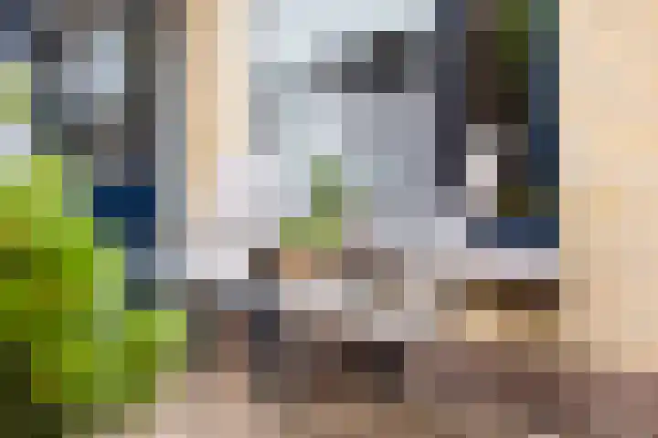 Wabbe Wissesstrjitte 46 Gorredijk thumbnail 21