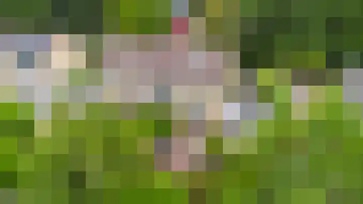 Wabbe Wissesstrjitte 46 Gorredijk thumbnail 22