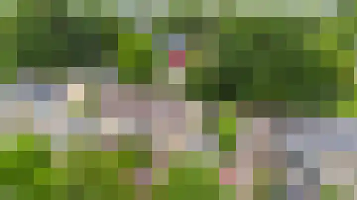 Wabbe Wissesstrjitte 46 Gorredijk thumbnail 23