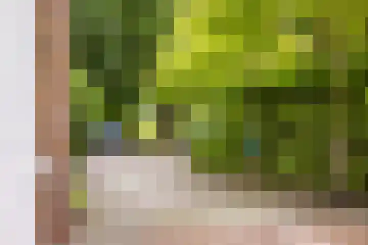 Wabbe Wissesstrjitte 46 Gorredijk thumbnail 24