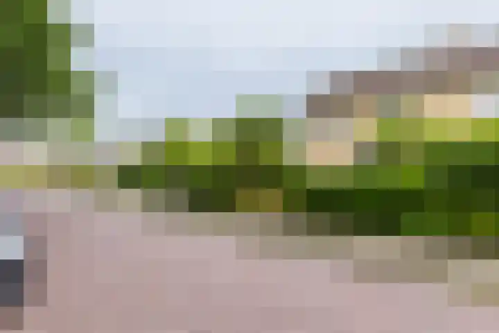 Wabbe Wissesstrjitte 46 Gorredijk thumbnail 25