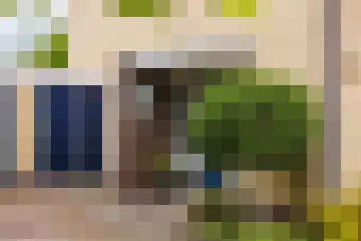 Wabbe Wissesstrjitte 46 Gorredijk thumbnail 28