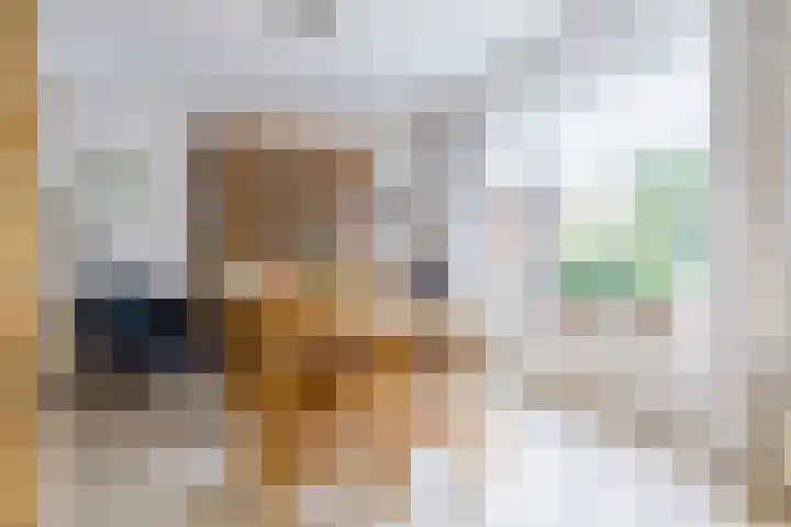 Wabbe Wissesstrjitte 46 Gorredijk thumbnail 38
