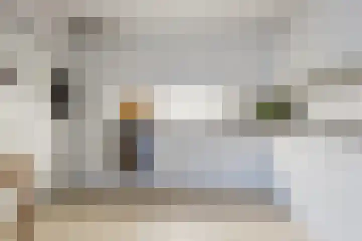 Wabbe Wissesstrjitte 46 Gorredijk thumbnail 41