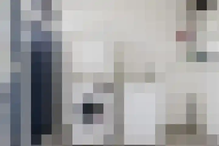 Wabbe Wissesstrjitte 46 Gorredijk thumbnail 44