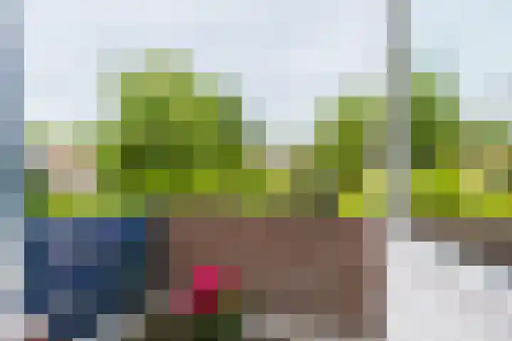 Wabbe Wissesstrjitte 46 Gorredijk thumbnail 56