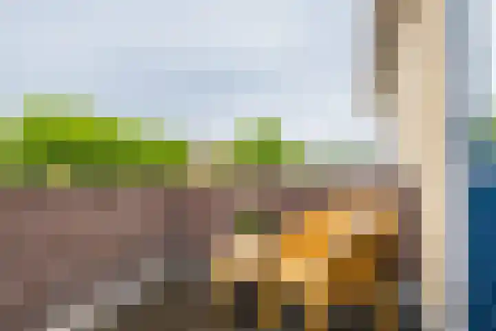 Wabbe Wissesstrjitte 46 Gorredijk thumbnail 57