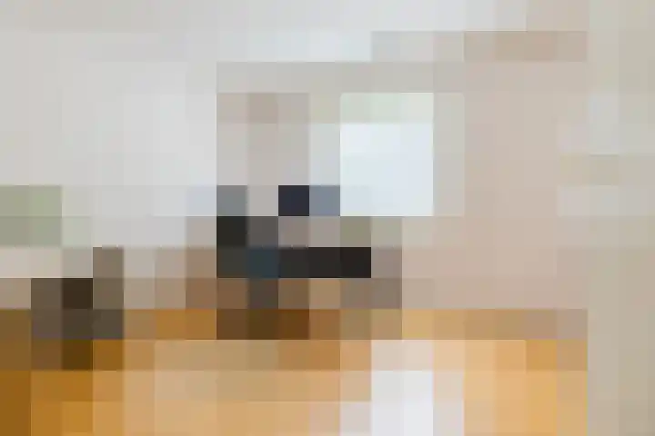 Wabbe Wissesstrjitte 46 Gorredijk thumbnail 58