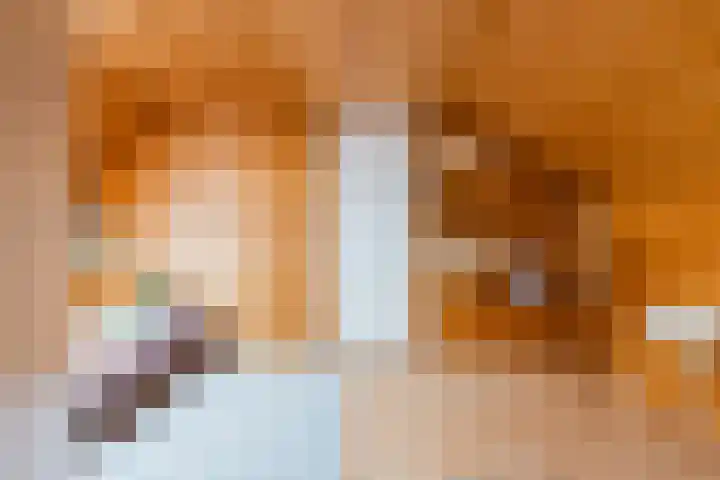 Wabbe Wissesstrjitte 46 Gorredijk thumbnail 63