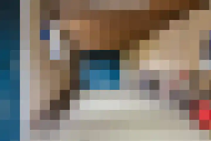 Wabbe Wissesstrjitte 46 Gorredijk thumbnail 66