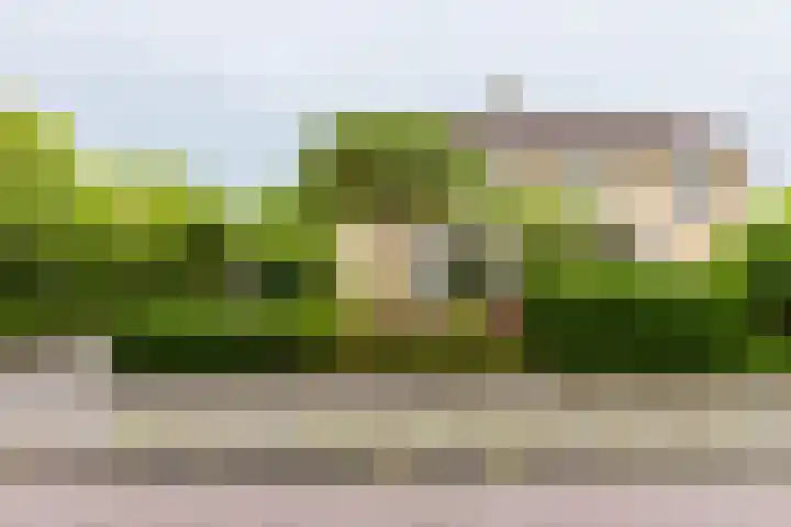 Wabbe Wissesstrjitte 46 Gorredijk thumbnail 9
