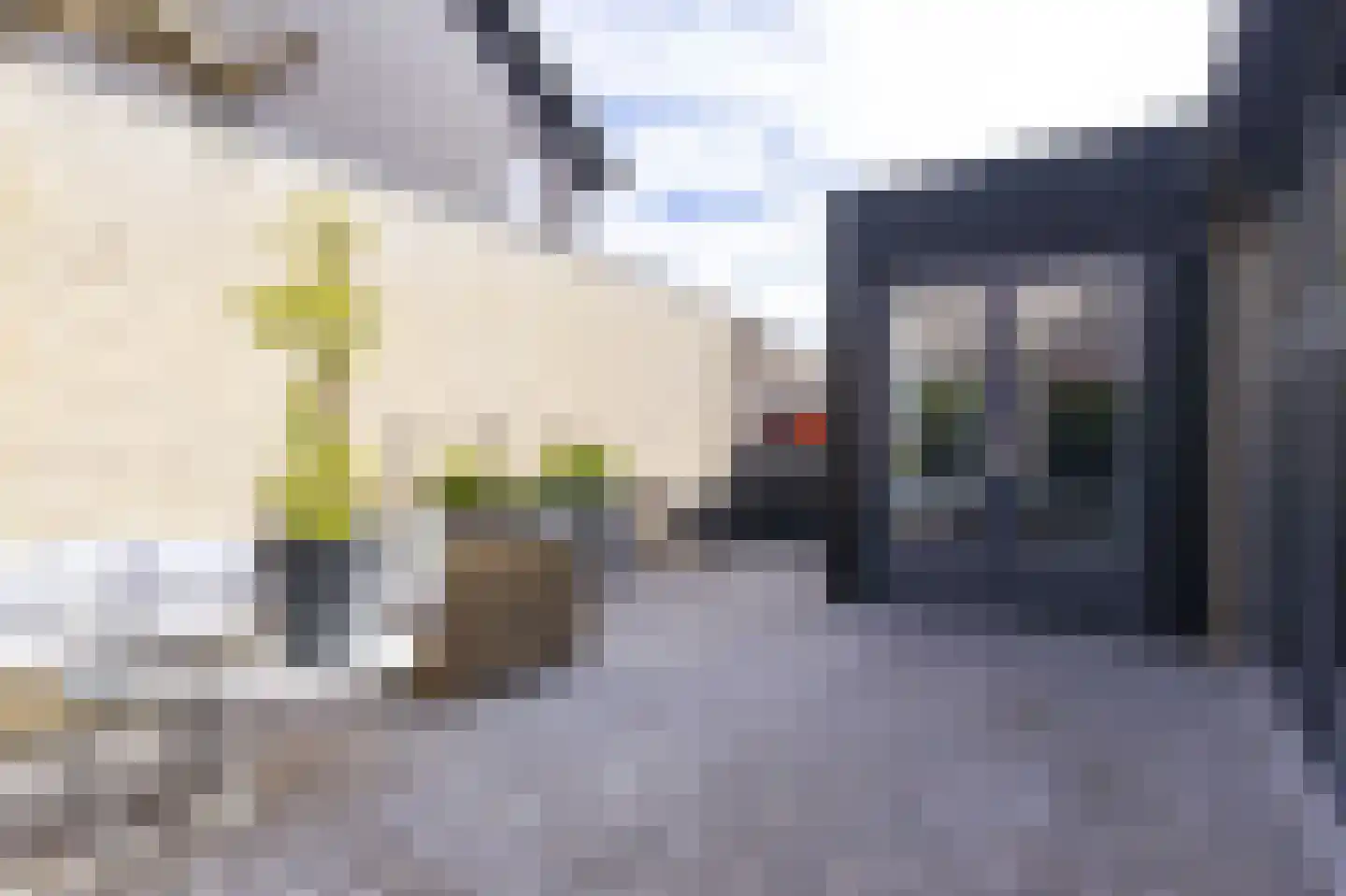 Wabenstraat 18 Hoorn thumbnail 29