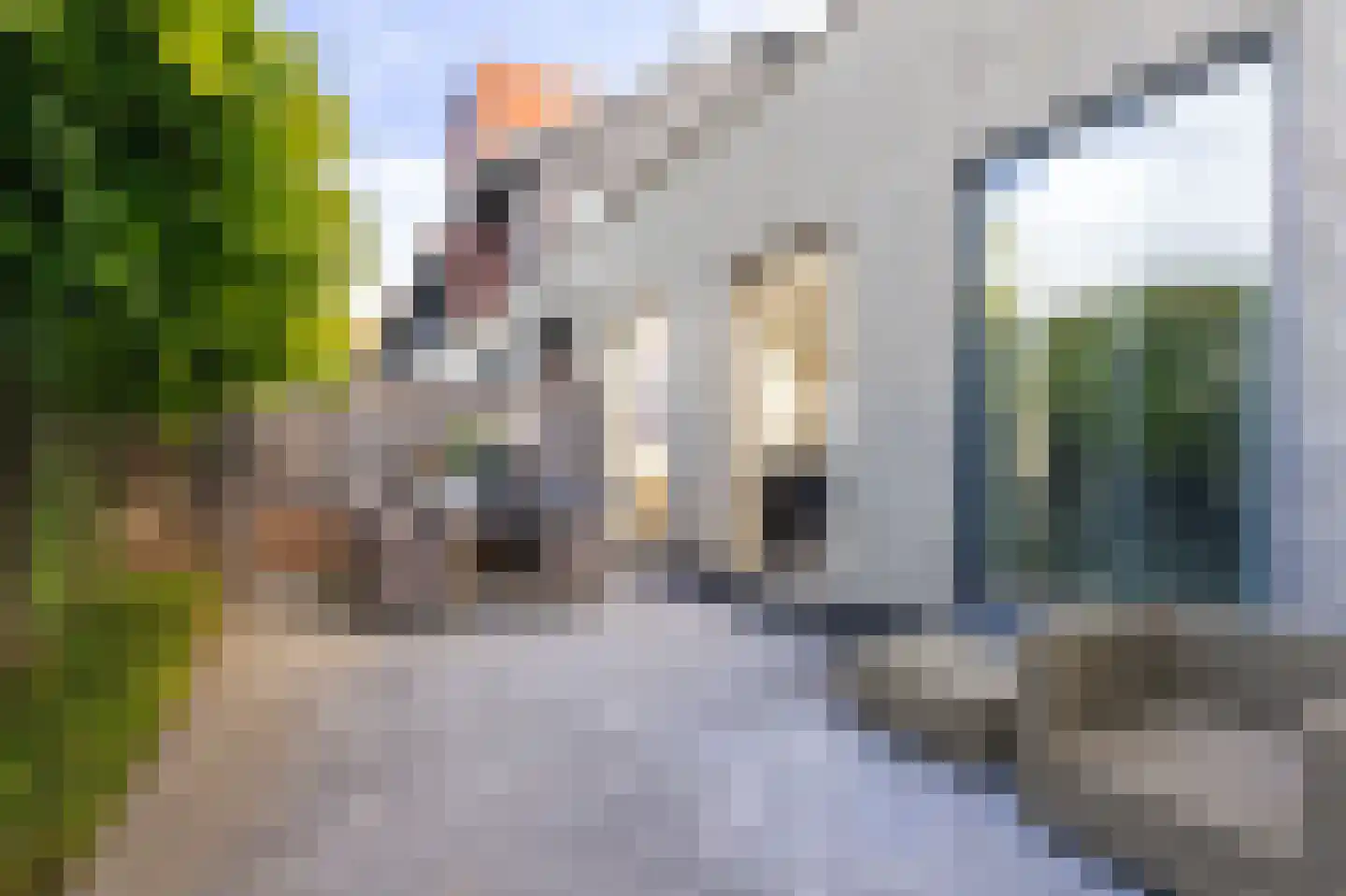 Wabenstraat 18 Hoorn thumbnail 34