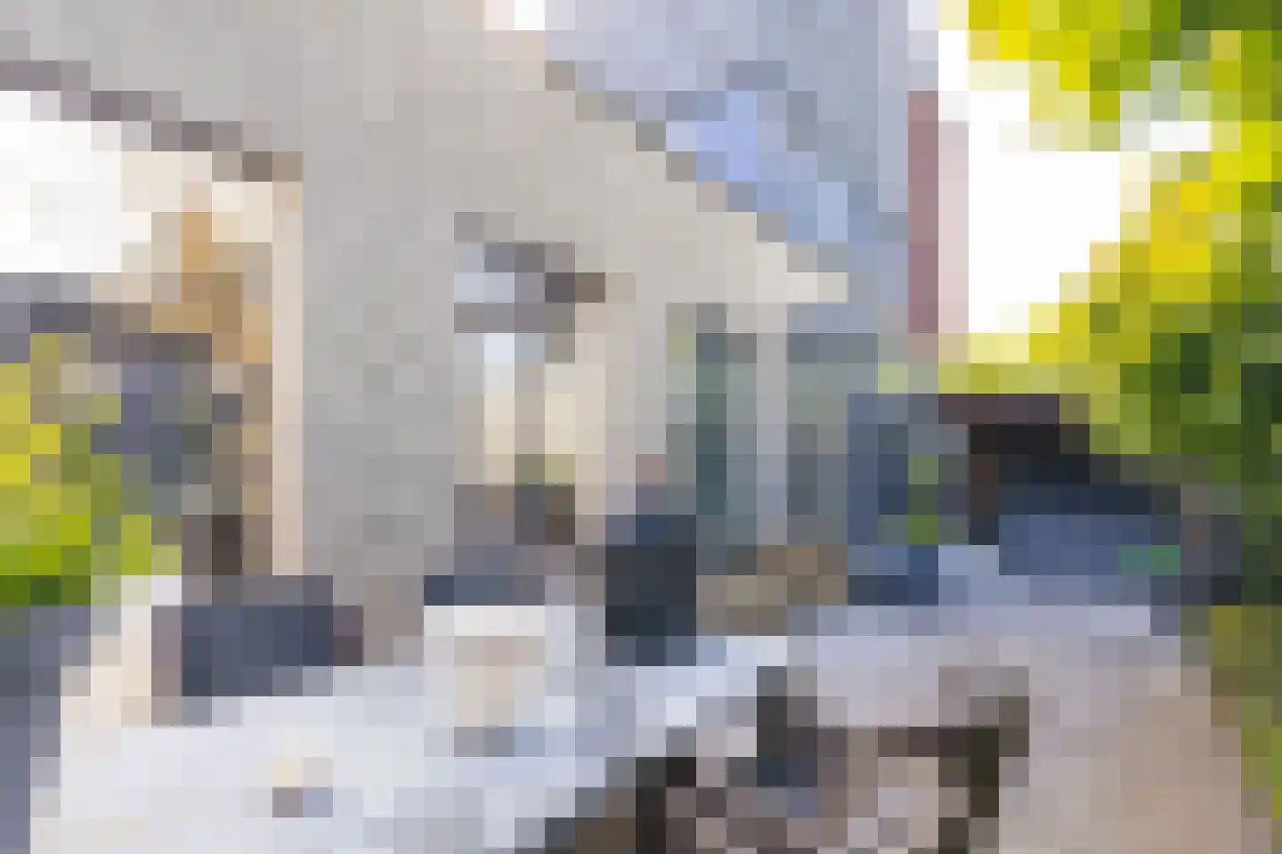 Wabenstraat 18 Hoorn thumbnail 4