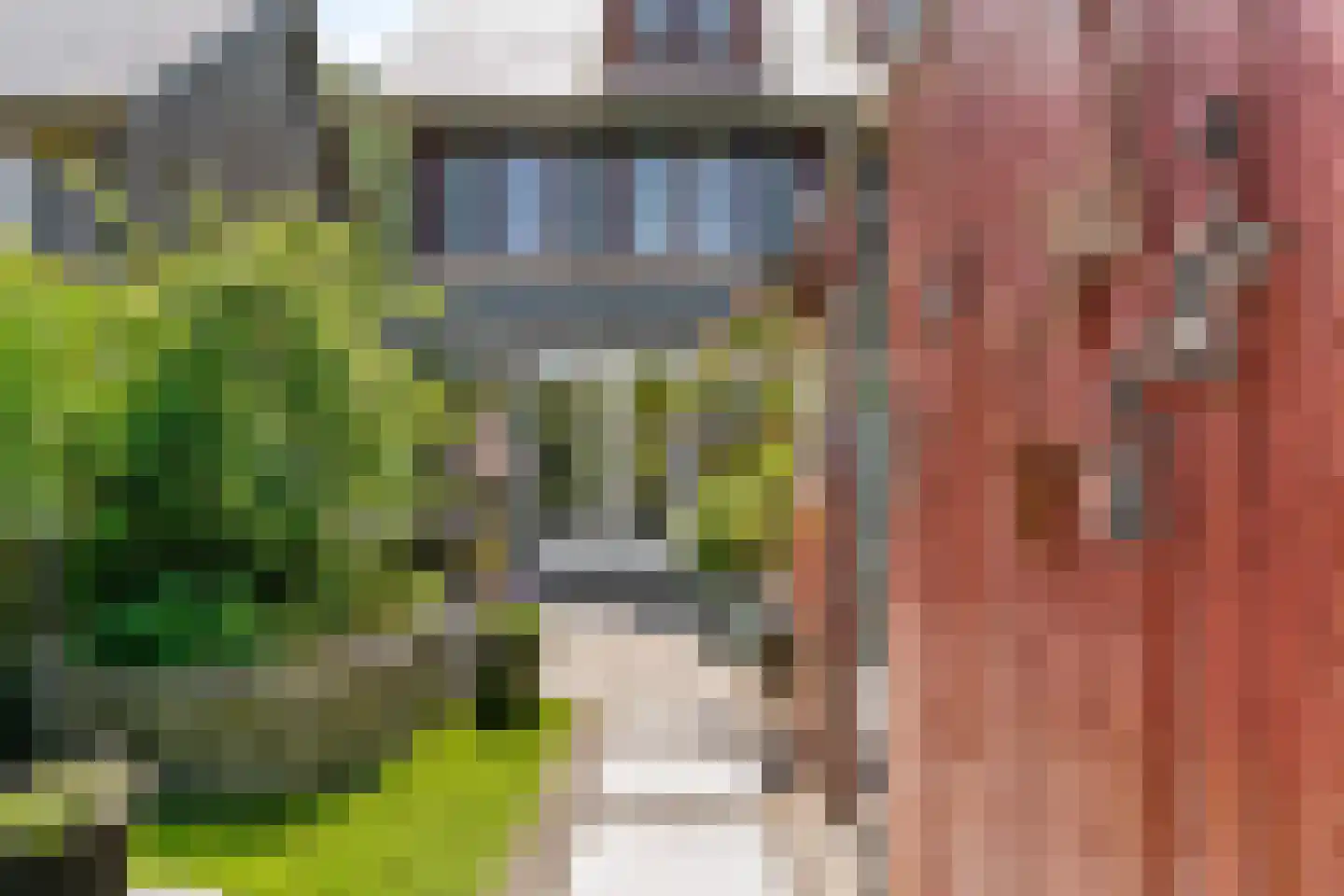 Wabenstraat 25 Hoorn thumbnail 32