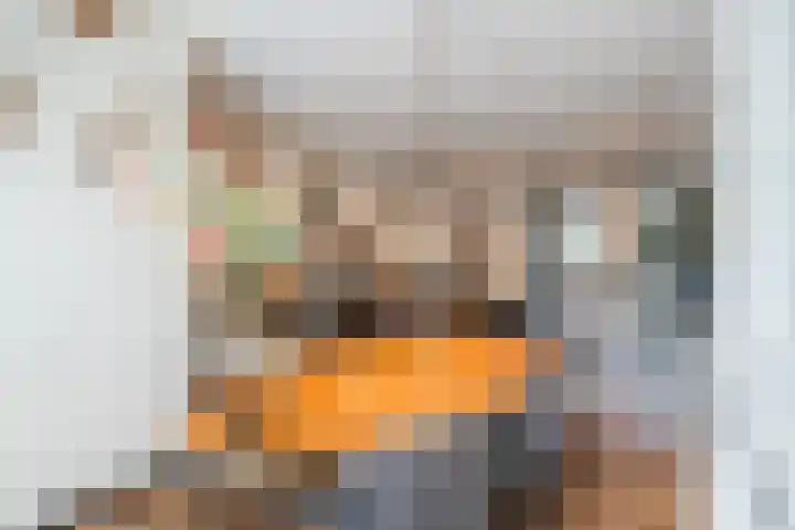 Wachtdeur 14 Sint Pancras thumbnail 14