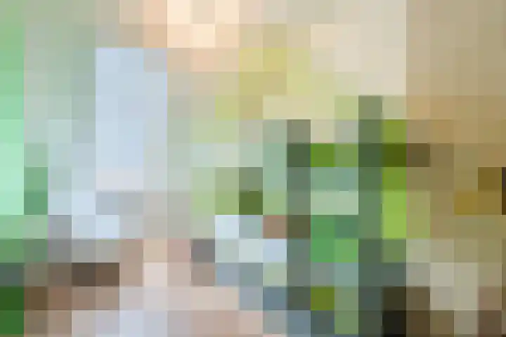 Wachtdeur 14 Sint Pancras thumbnail 25