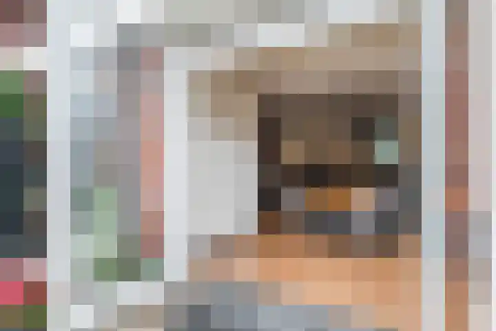 Wachtdeur 14 Sint Pancras thumbnail 30