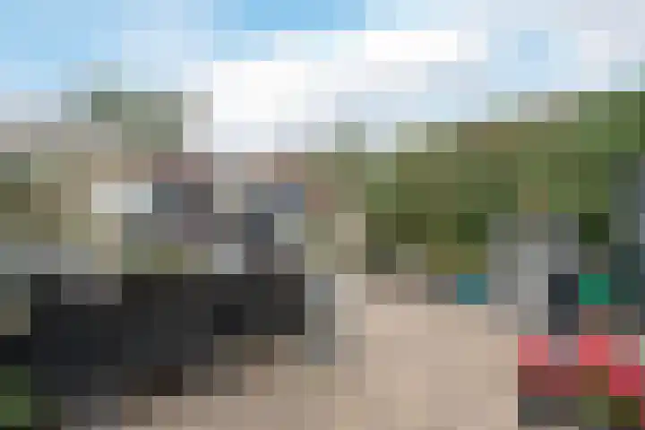 Wachtdeur 14 Sint Pancras thumbnail 32