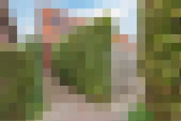 Wachtdeur 14 Sint Pancras thumbnail 38