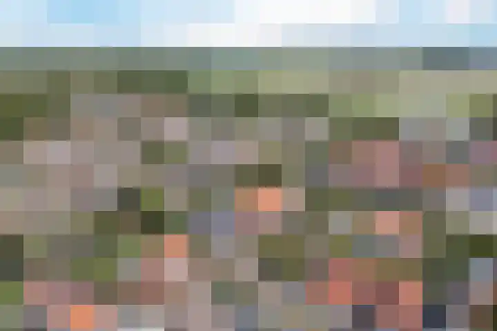 Wachtdeur 14 Sint Pancras thumbnail 39