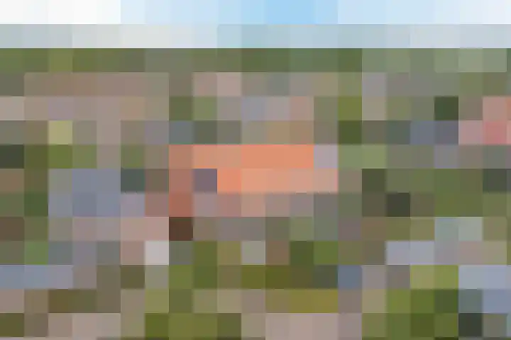 Wachtdeur 14 Sint Pancras thumbnail 40
