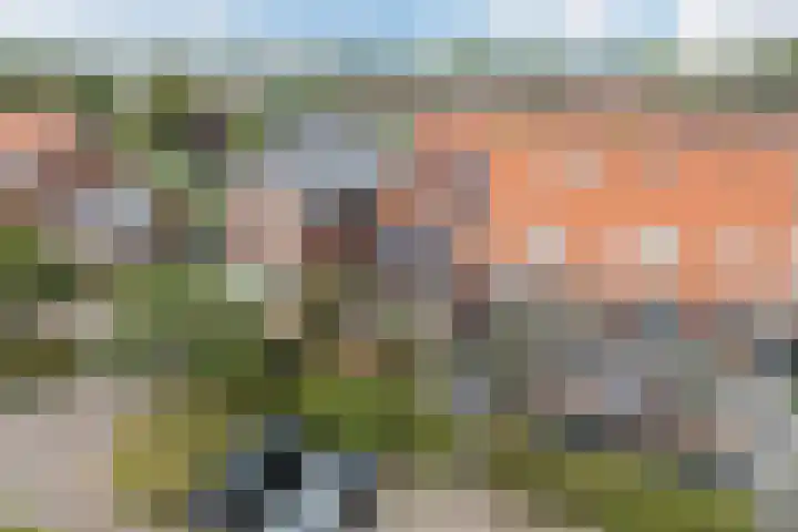 Wachtdeur 14 Sint Pancras thumbnail 41