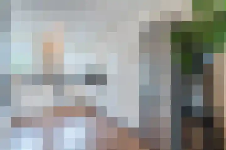 Wachtdeur 14 Sint Pancras thumbnail 6